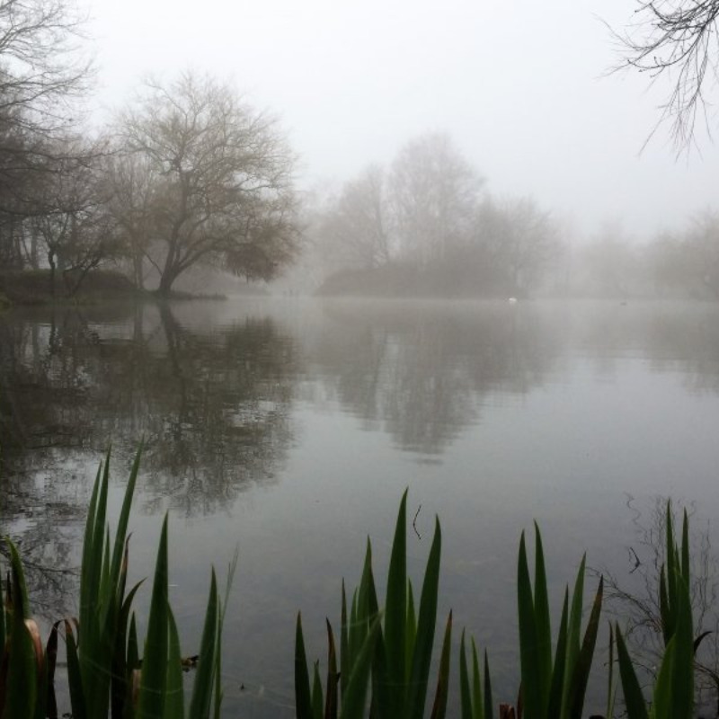 beaver fishery